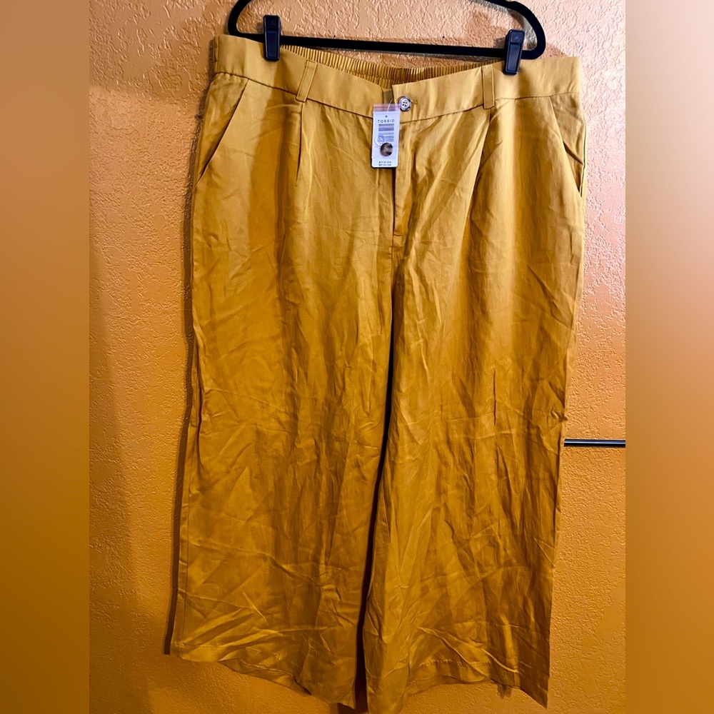 Torrid Pants